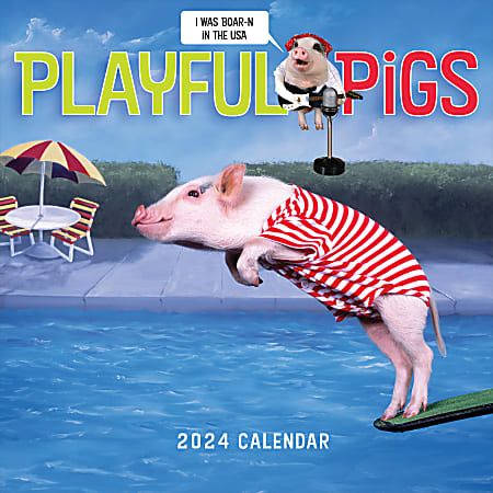 2024 TF Publishing Animal Wall Calendars, 12” x 12”, Playful Pigs, January To December