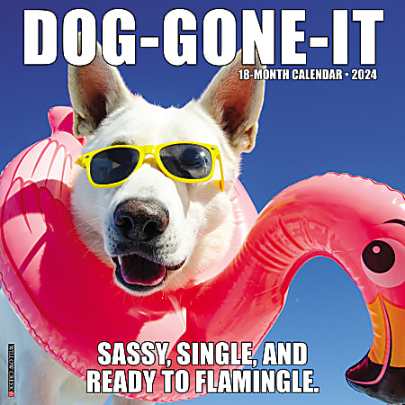 2024 Willow Creek Press Humor & Comics Monthly Wall Calendar, 12" x 12", Dog-Gone-It, January To December