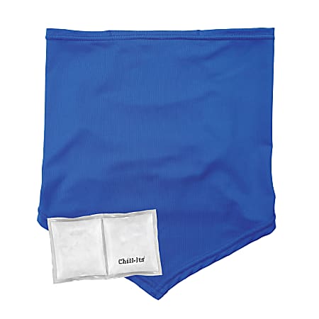Ergodyne Chill-Its 6482 Cooling Neck Gaiter Bandana With Pocket/Ice Packs, L/XL, Blue