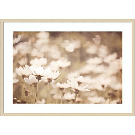Amanti Art Daisies I Neutral by Elizabeth Urquhart Wood Framed Wall Art Print, 30”H x 41”W, Natural