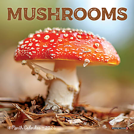 2026 Willow Creek Press Monthly Mini Wall Calendar, 7" x 7", Mushrooms, January To December, 53652