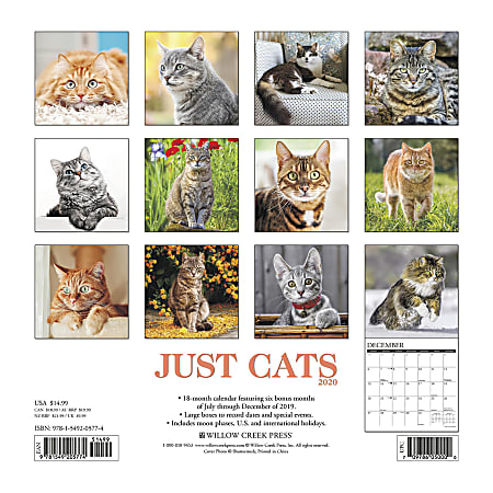 Willow Creek Press Animals Monthly Wall Calendar 12 x 12 Cats January ...