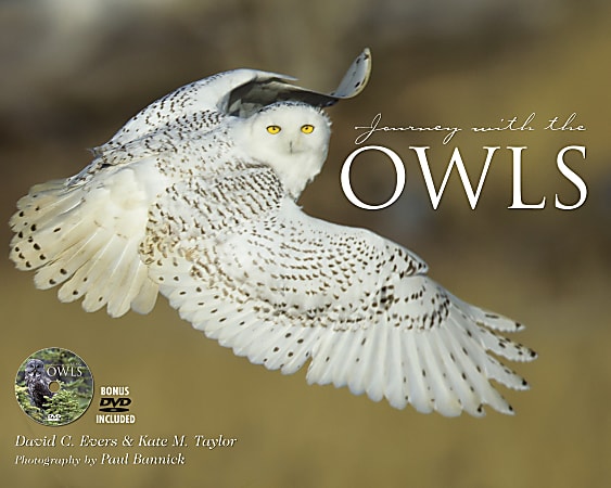 Willow Creek Press 8" x 10" Hardcover Gift Book, Journey With The Owl By Evers & Taylor