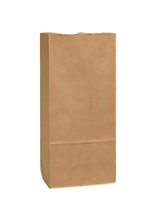 Duro Bag General Paper Bags, 25#, 18"" x 8.25" x 5.25", 40 Lb Base Weight, 40% Recycled, Brown Kraft, Bundle Of 500