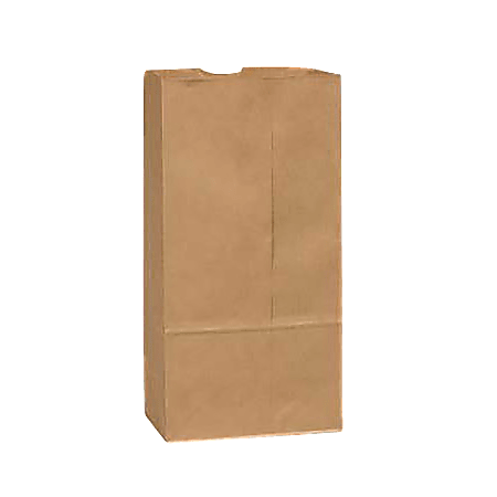Brown paper carriers hotsell