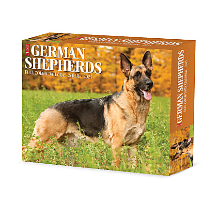 2025 Willow Creek Press Daily Desk Box Calendar, Animals, 5-1/2” x 6-1/4”, German Shepherds, January To December, 40843