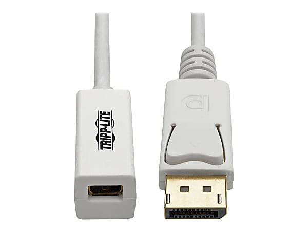 Tripp Lite 6in DisplayPort To Mini DisplayPort Adapter Cable, White