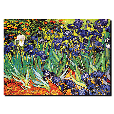 Trademark Global Irises At Saint-Remy Gallery-Wrapped Canvas Print By Vincent van Gogh, 24"H x 32"W