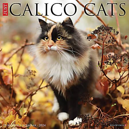 2024 Willow Creek Press Animals Monthly Wall Calendar, 12" x 12", Just Calico Cats, January To December