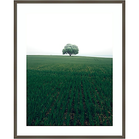 Amanti Art The Lonely Oak Tree by Christian Lindsten Wood Framed Wall Art Print, 33”W x 41”H, Gray