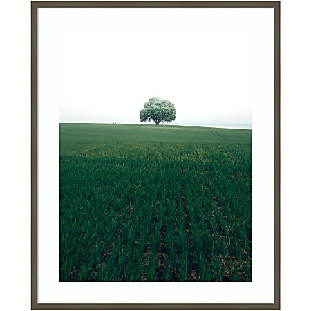 Amanti Art The Lonely Oak Tree by Christian Lindsten Wood Framed Wall Art Print, 33”W x 41”H, Gray