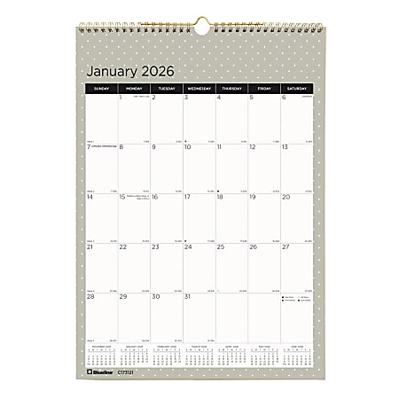 2026 Blueline Colorful Monthly Wall Calendar, 12" x 17", Minimalist, January To December, C173121