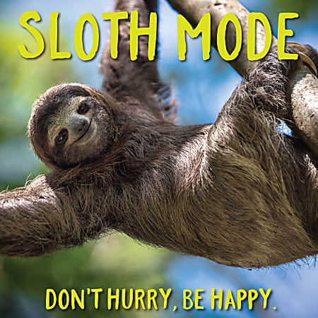 Willow Creek Press 5-1/2" x 5-1/2" Hardcover Gift Book, Sloth Mode