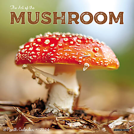 2024 Willow Creek Press Scenic Monthly Wall Calendar, 12" x 12", Mushrooms, January To December