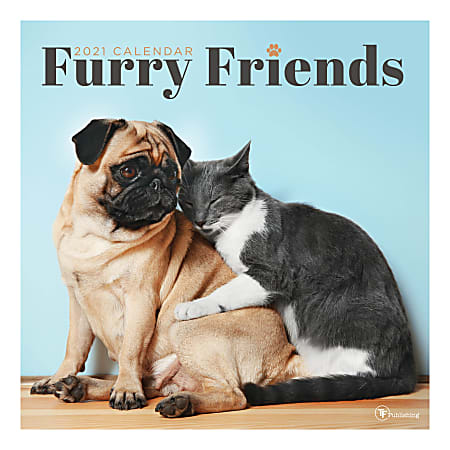 TF Publishing Animals Monthly Wall Calendar, 12" x 12", Furry Friends, January To December 2021