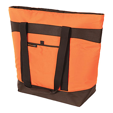 Rachael ray chillout thermal tote new arrivals