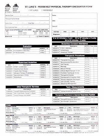 Physical Therapy Encounter Form 100PK Form STL 43655 - Office Depot