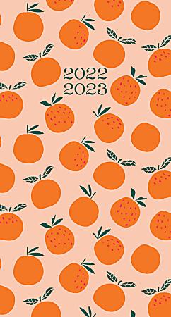 Willow Creek Press 2-Year Monthly Checkbook/Calendar, 3-1/2" x 6-1/2", Orange Harvest, January 2022 To December 2023