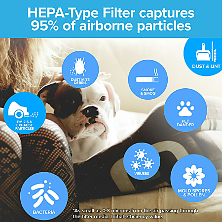 Filtrete air hot sale purifier small room