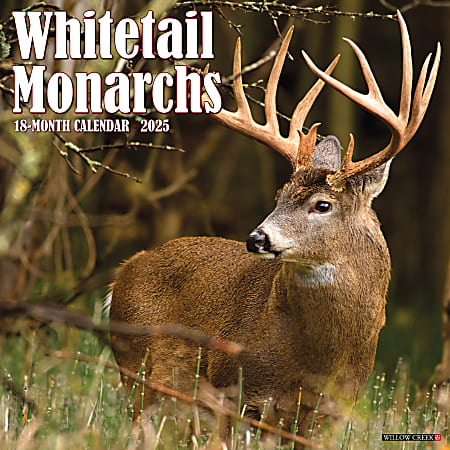 2025 Willow Creek Press Monthly Wall Calendar, 12" x 12", Whitetail Monarchs (Deer), January 2025 to December 2025, 45428