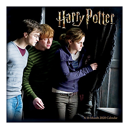 Sandylion 16-Month Wall Calendar, 12" x 12", Harry Potter, September 2019 To December 2020