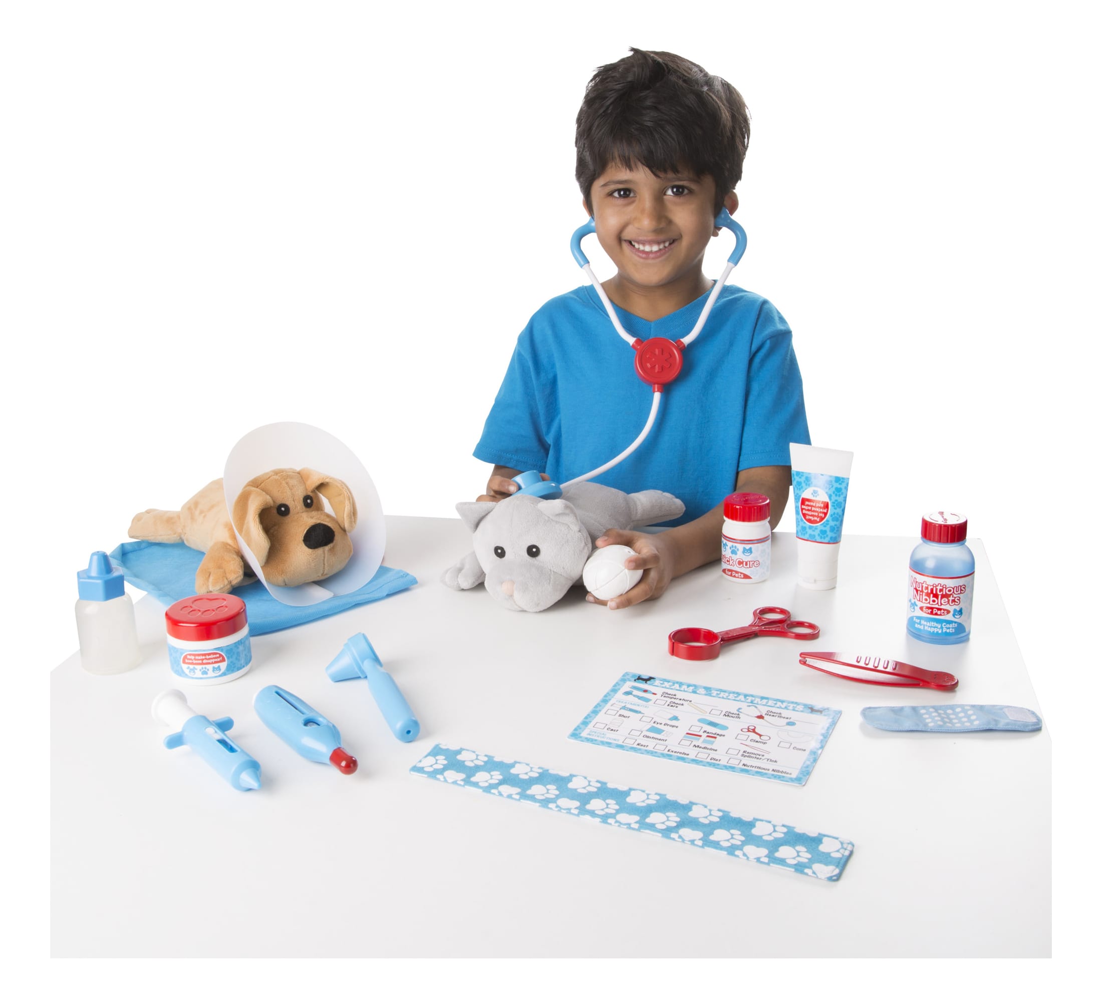 examine and treat pet vet playset