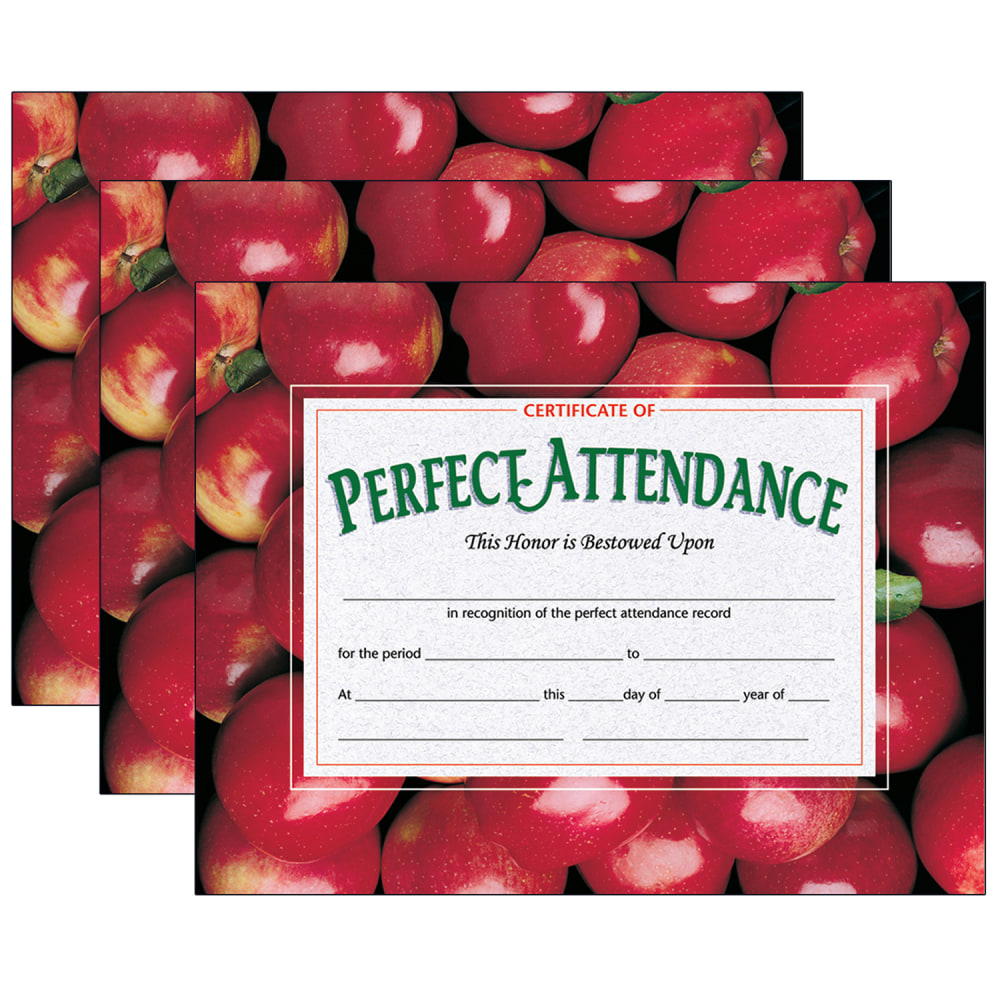 Hayes Certificates, 8-1/2" x 11", Perfect Attendance,