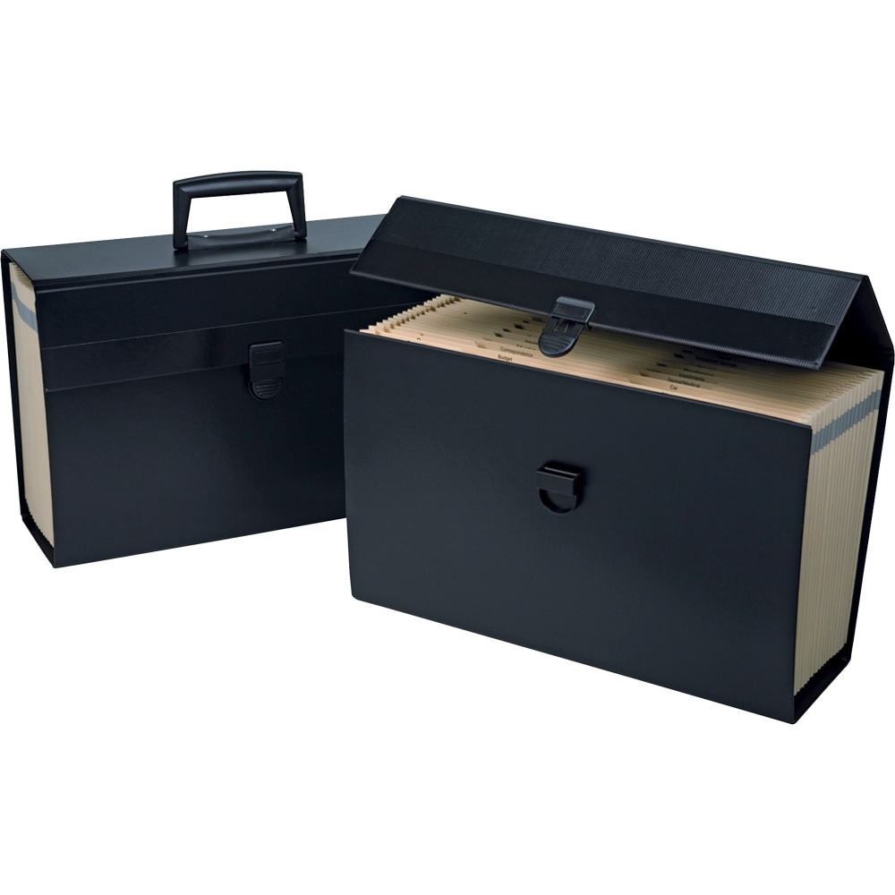 Oxford® Esselte Portafile, 19 Pockets, Letter/Legal,15" x