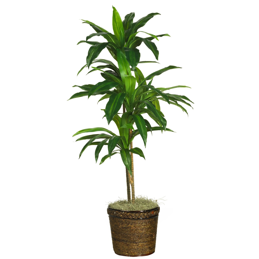 Nearly Natural Dracaena 48”H Silk Real Touch Plant