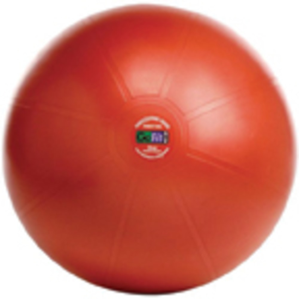 GoFit Professional Stability Ball With Core Performance Training