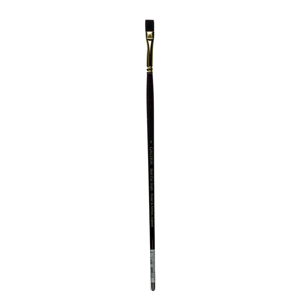 Winsor & Newton Galeria Long-Handle Paint Brush, Size