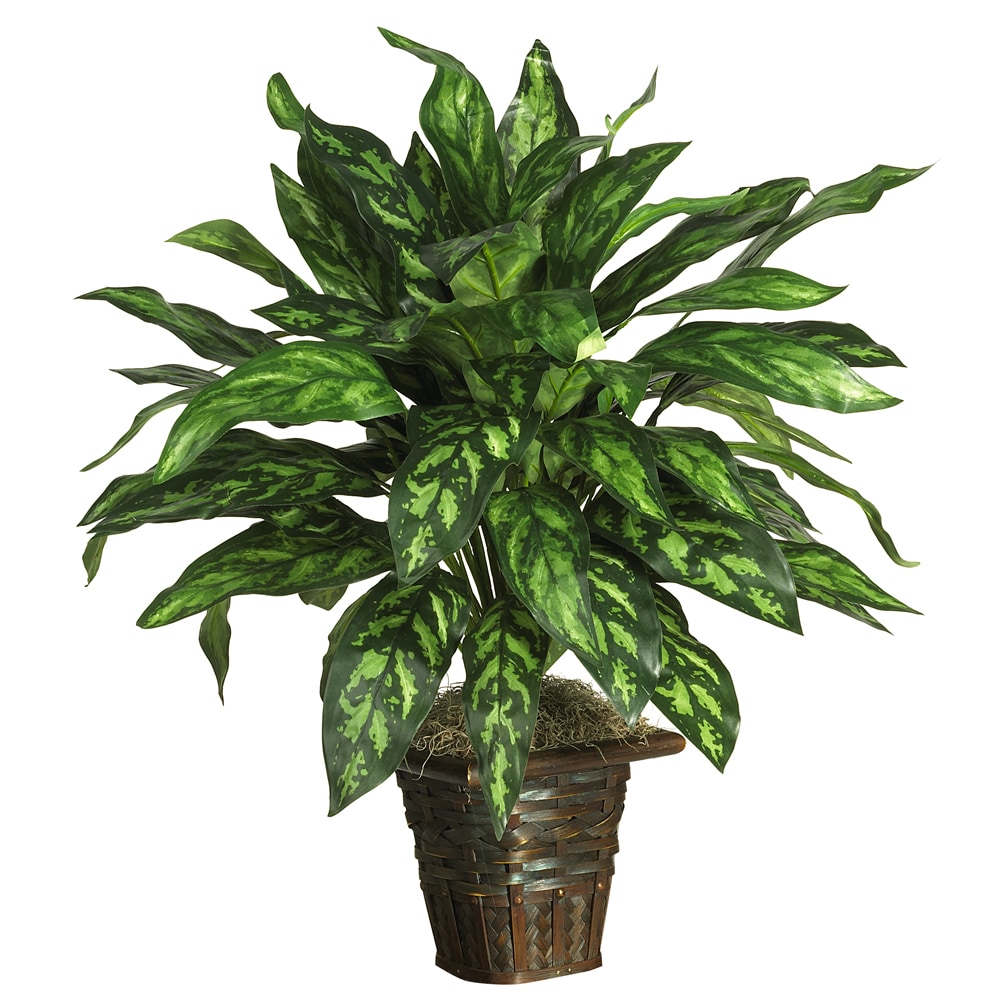 Nearly Natural 31" Silver King Plant With Basket