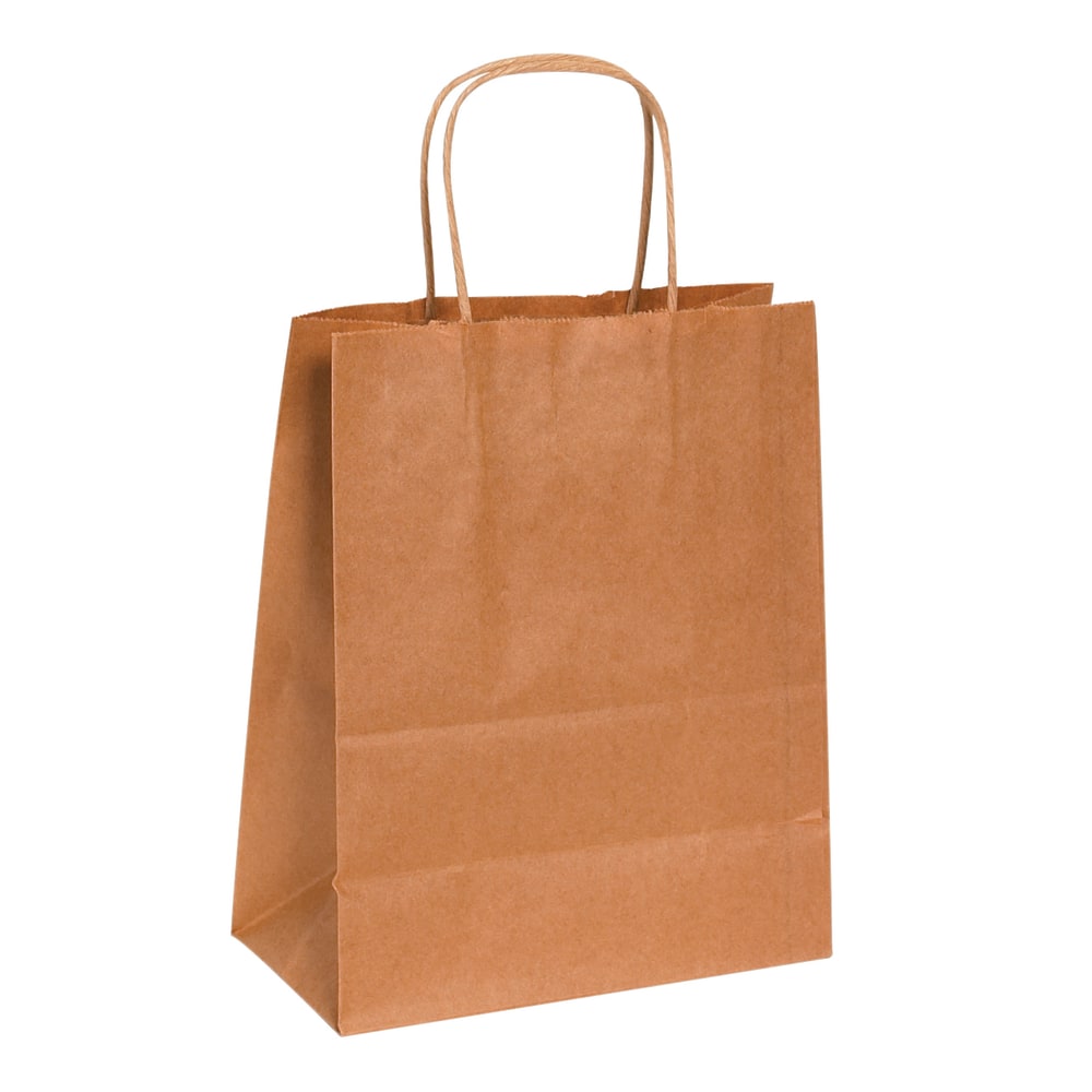 Partners Brand Paper Shopping Bags, 10 1/4"H x