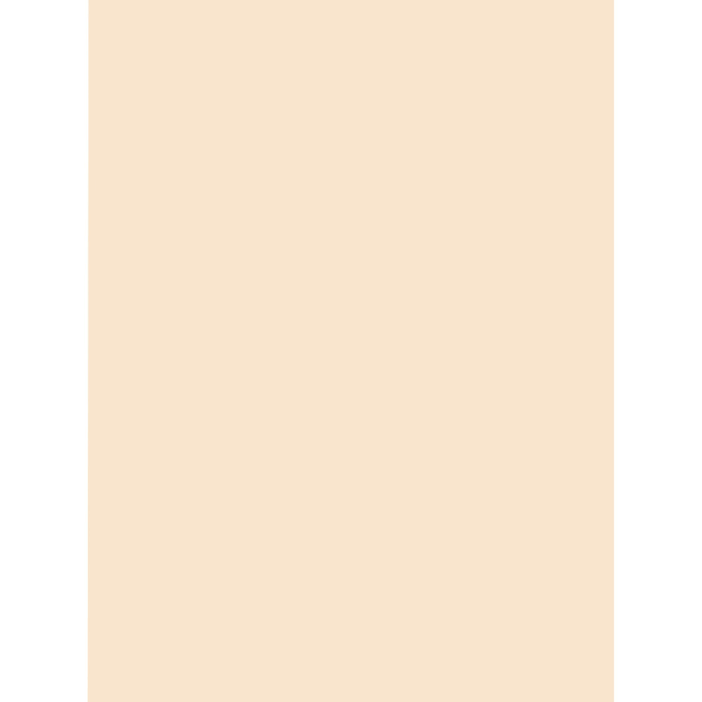 Pacon® Tag Board, 18" x 24", 150 Lb,