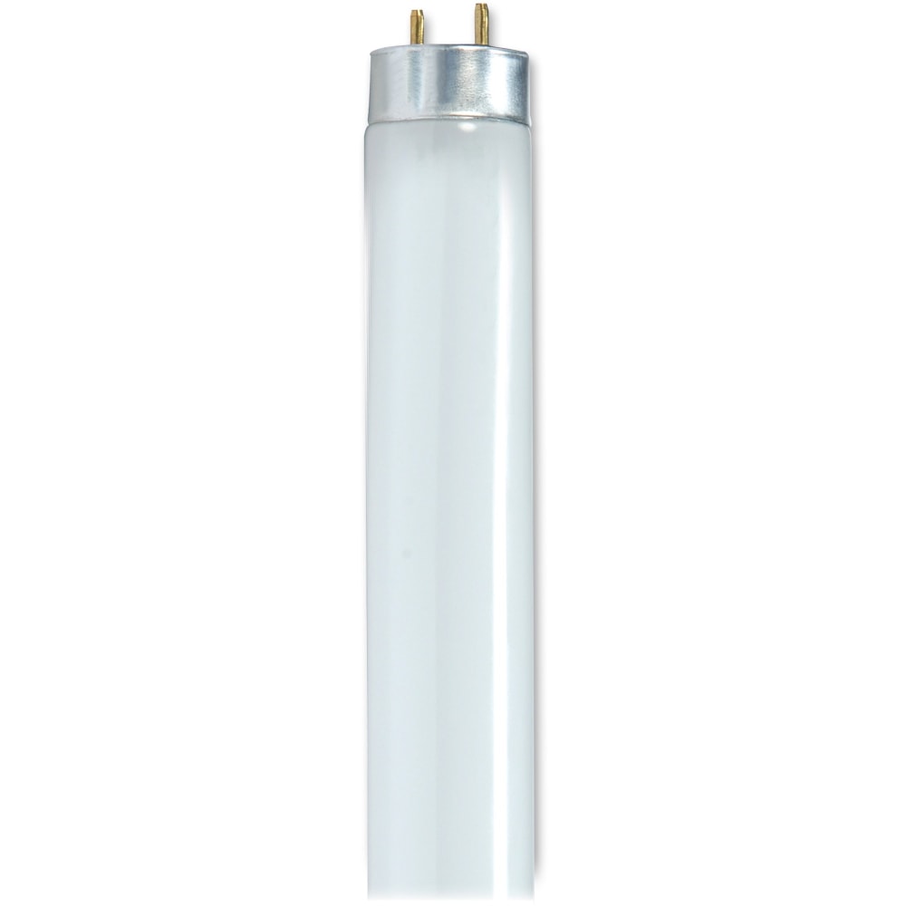 Satco® T8 Linear Fluorescent Light Bulbs, 32 Watts,