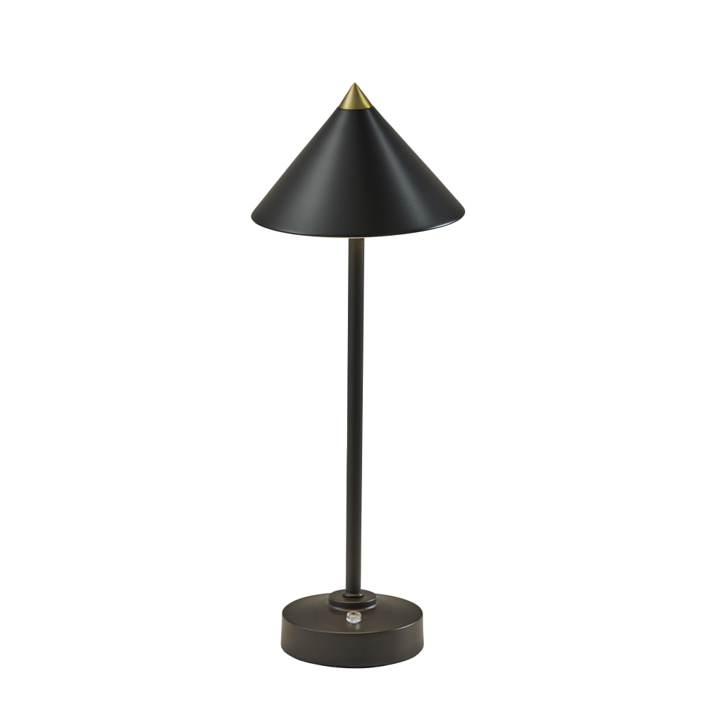Adesso Ritchie LED Cordless Indoor/Outdoor Table Lamp, 16”H,