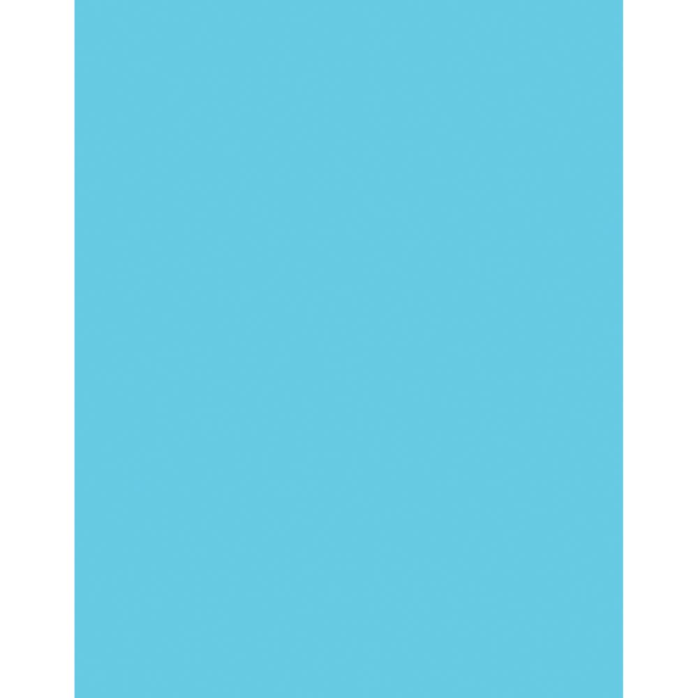 Pacon® Peacock® Coated Poster Board, 22" x 28",