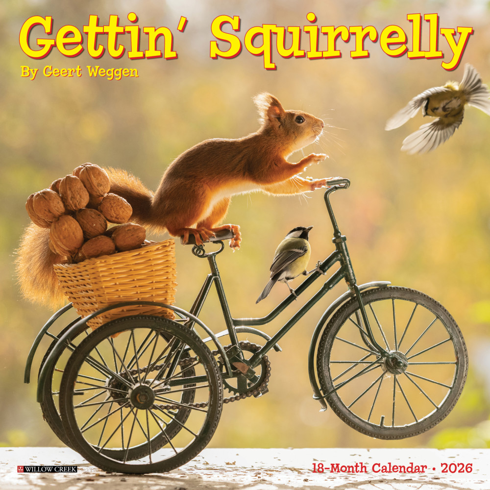 2026 Willow Creek Press Monthly Mini Wall Calendar,