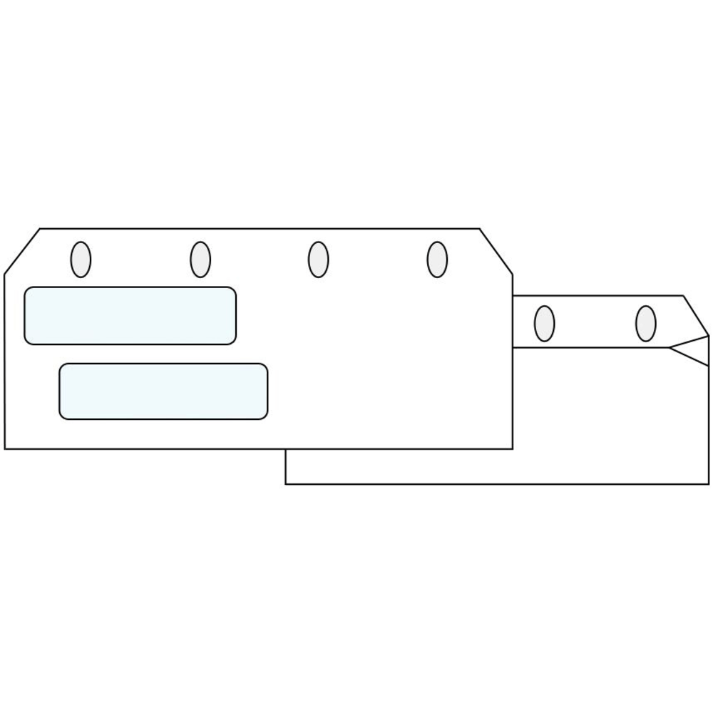 VersaCheck® Self-Sealing Business Check Security Envelope