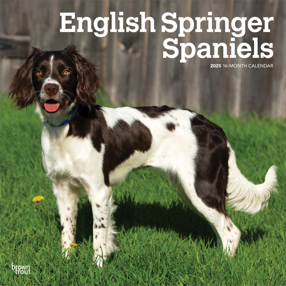 2025 BrownTrout English Springer Spaniels Monthly Plastic-Free