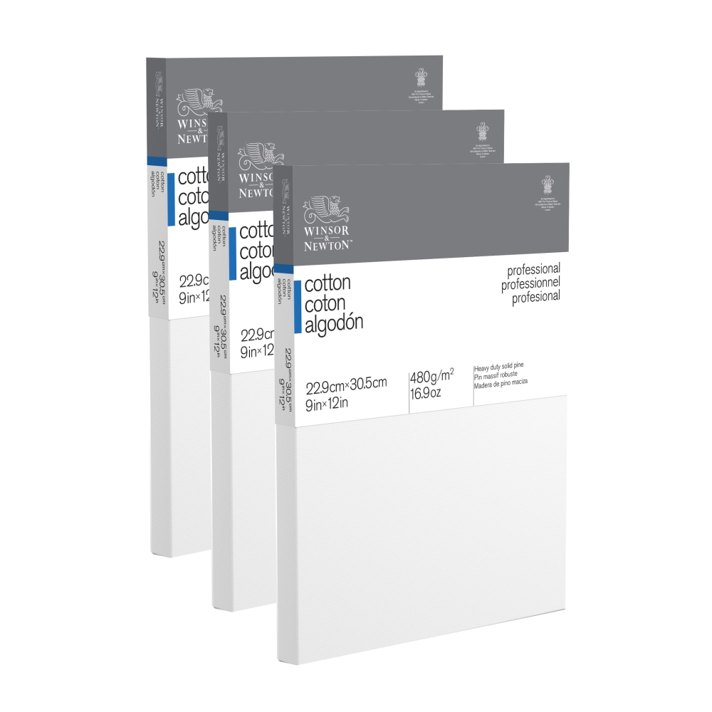 Winsor & Newton Professional Cotton-Stretched Traditional