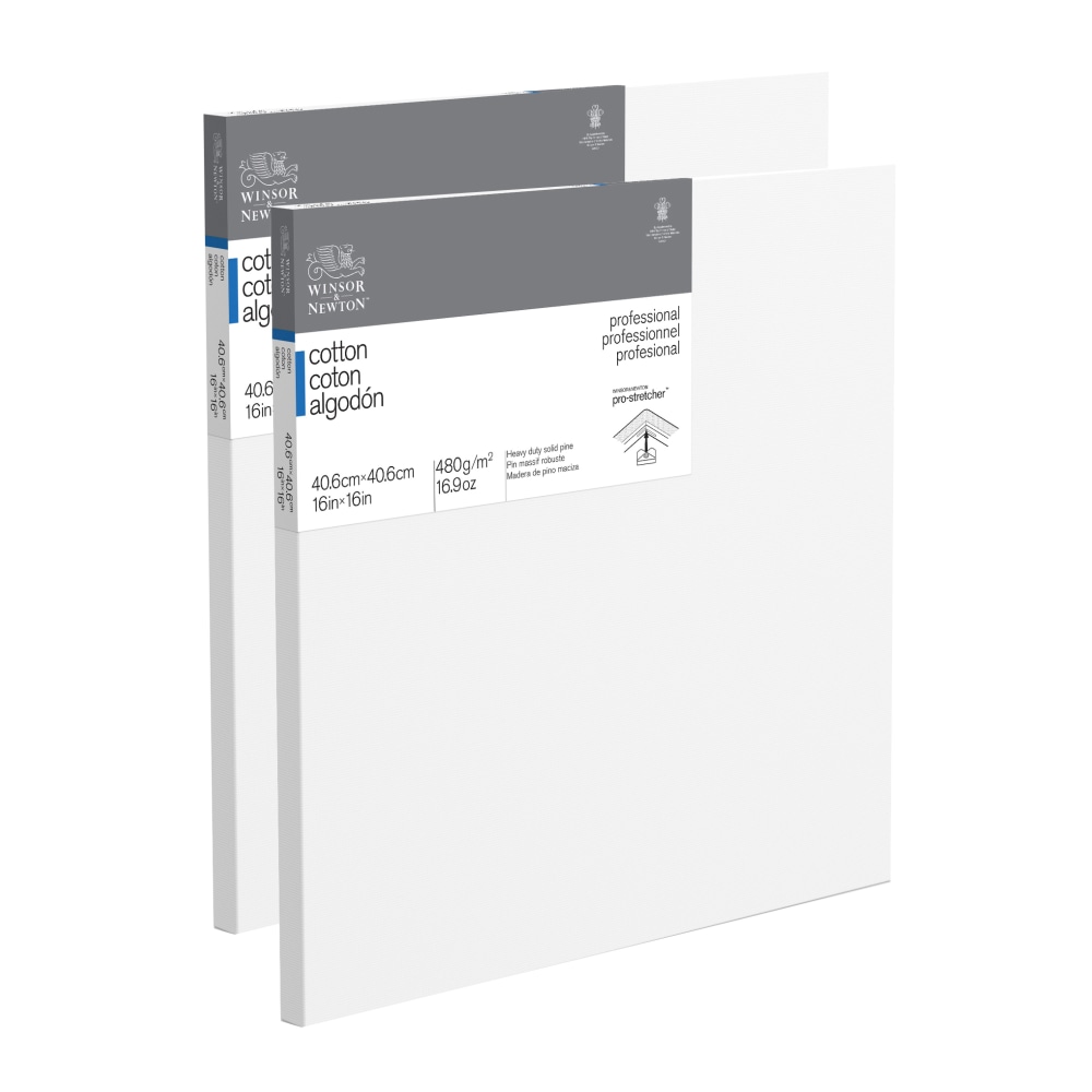 Winsor & Newton Professional Cotton-Stretched Traditional