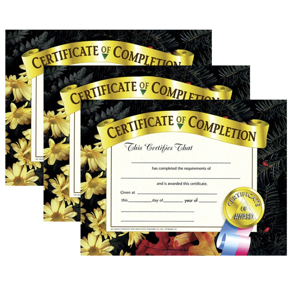 Hayes Publishing Certificate Of Completion, 8.5" x 11",