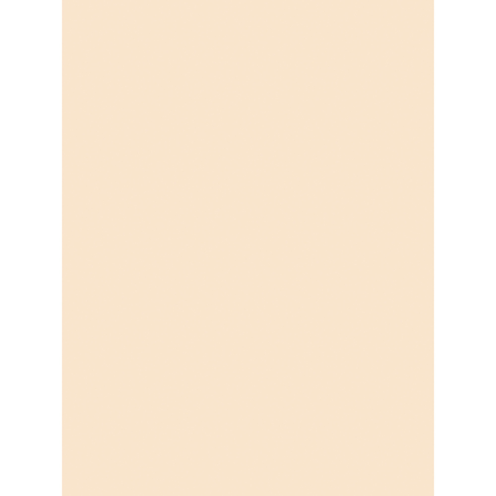 Pacon® Tag Board, 9" x 12", 105 Lb,