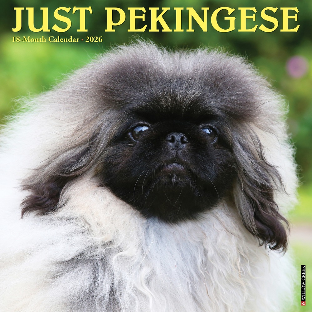 2026 Willow Creek Press Animals Monthly Wall Calendar,