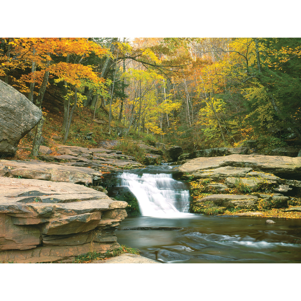 Biggies Landscape/Seascape Mural, 40" x 30", Unframed,