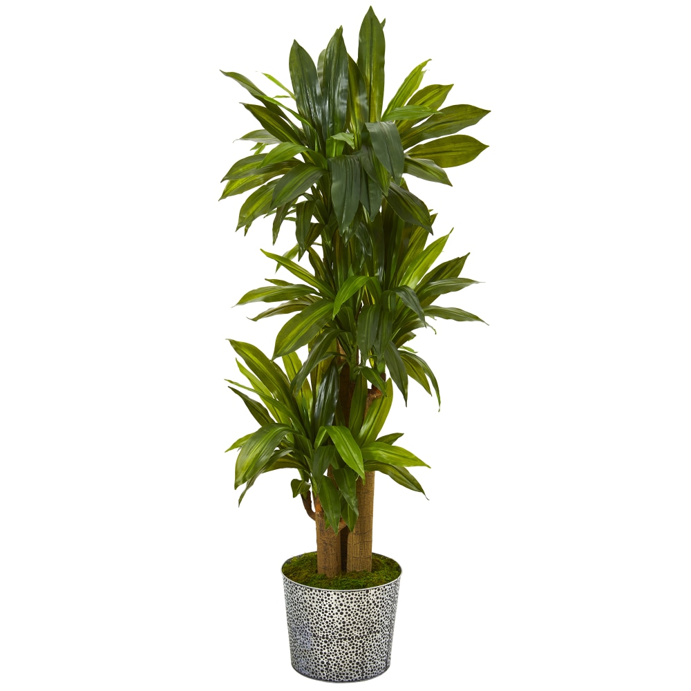 Nearly Natural Corn Stalk Dracaena 58”H Artificial Plant