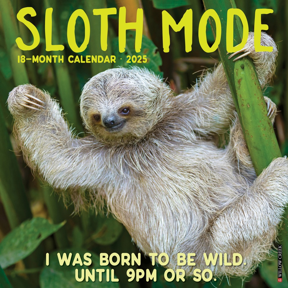 2025 Willow Creek Press Wall Calendar, 12” x
