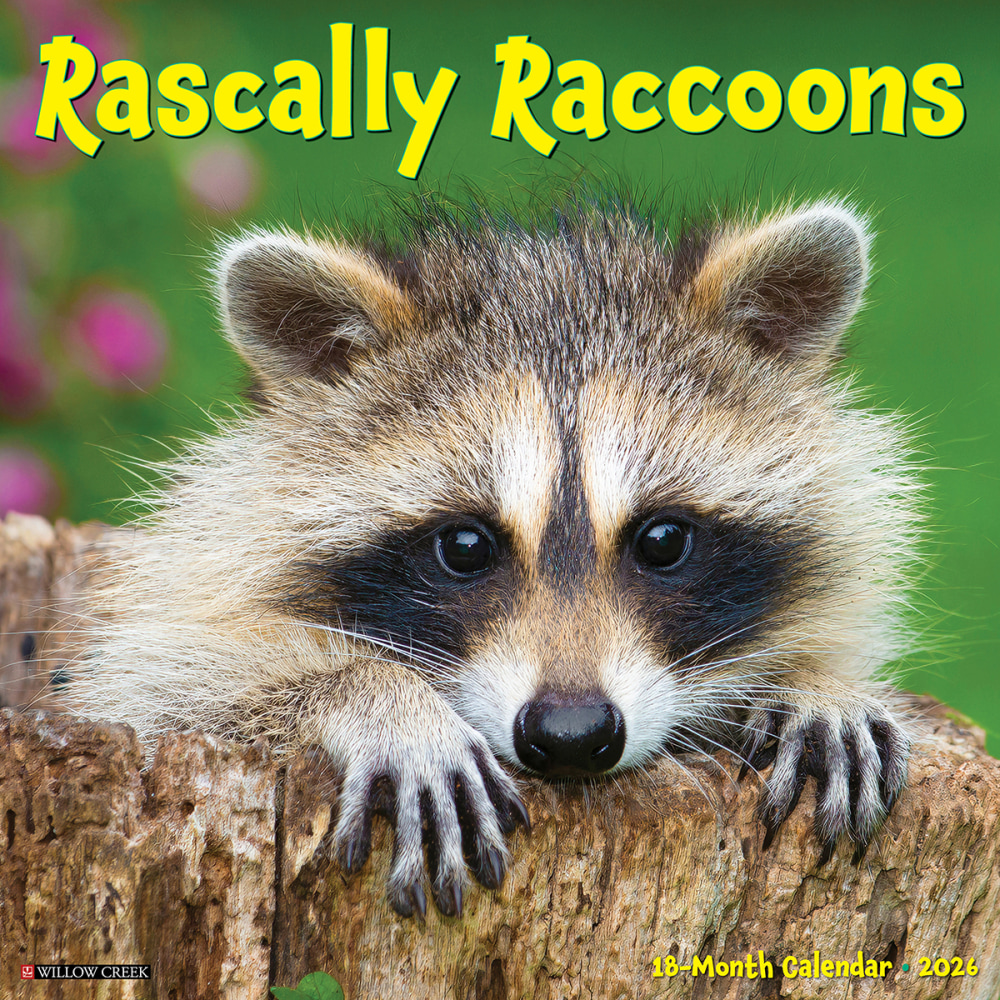 2026 Willow Creek Press Humor & Comics Monthly