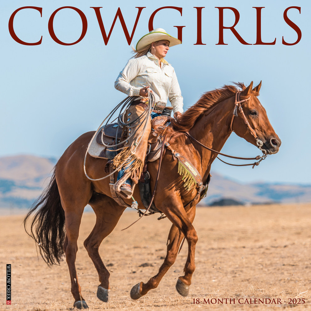 2025 Willow Creek Press Hobbies Monthly Wall Calendar,
